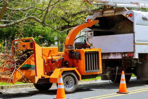 Best Hazardous Tree Removal  in Rouse, CA